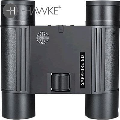 Hawke - Sapphire 10x25 Binocular - Black