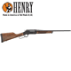 Henry Repeating Arms Co Long Range Under Lever .308 Win Rifle 20" Barrel 619835300027