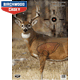Birchwood Casey - PreGame 16.5" x 24" Whitetail Deer Target