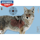 Birchwood Casey - PreGame 16.5" x 24" Coyote Target