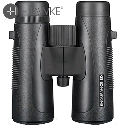 Hawke - Endurance ED 10x42 Binocular - Black