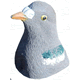 UK Shootwarehouse - Pigeon Sillosocks 3D Head Upright
