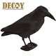 Decoy - Flocked Crow With Legs & Spear