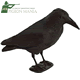 A1 Decoying - Full Bodied Flocked Crow Decoy