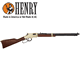 Henry Repeating Arms Co Golden Boy Under Lever .22 LR Rifle 20" Barrel 619835006004
