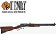 Henry Repeating Arms Co Big Boy - Steel Side Gate Under Lever .357 Rem Mag/.38 Special Rifle 20" Barrel 619835200365