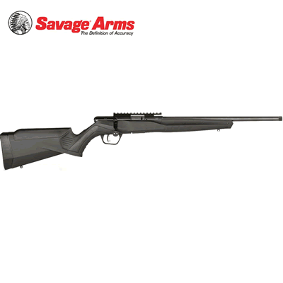 Savage Arms B22 FV-SR Bolt Action .22 LR Rifle 16" Barrel 062654702037